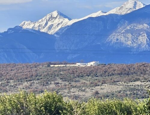 Exklusives Investment-Highlight 2026: Das Panorama Hill Resort auf der Briska Gora