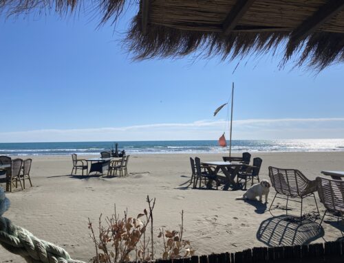 Montenegro vs. Paraguay: The Ultimate Comparison for Expatriates